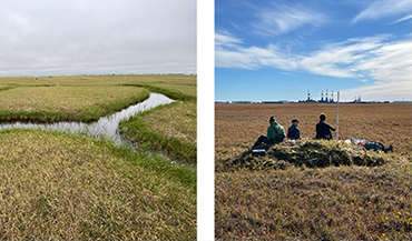 The NIRPO research site. The observatory includes a wide variety of landforms typical of ice-rich permafrost landscapes in the Prudhoe Bay Oilfield, including: flat-centered ice-wedge polygons with degraded ice-wedges and thermokarst ponds (left), credit: Jana Peirce; and small bird mounds with rich plant communities (right), credit: Amy Breen.