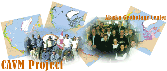 Canadian mapping team on the left, CAVM team on the right, background of vegetation map, landscape map, substrate chemistry map, and floristic provinces map.Ogilvie Mountains and Blackburn River, Dempster Highway, Canada, July 2002